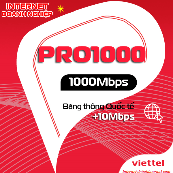 Pro1000 Viettel